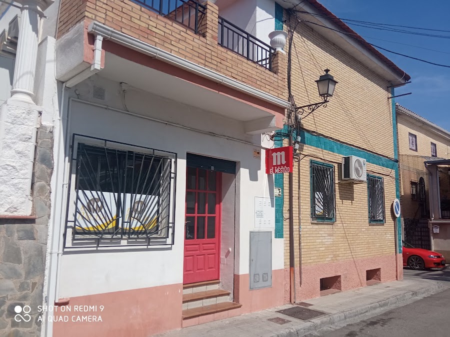 EL MESTIZO