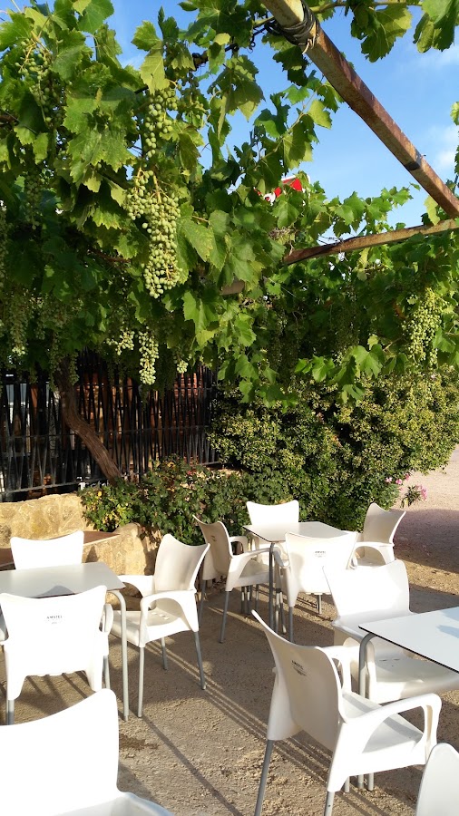 Restaurantes en Pozuelo provincia de Albacete